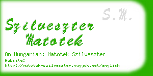 szilveszter matotek business card